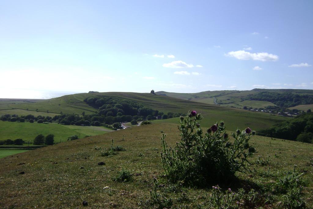 East Abbotsbury